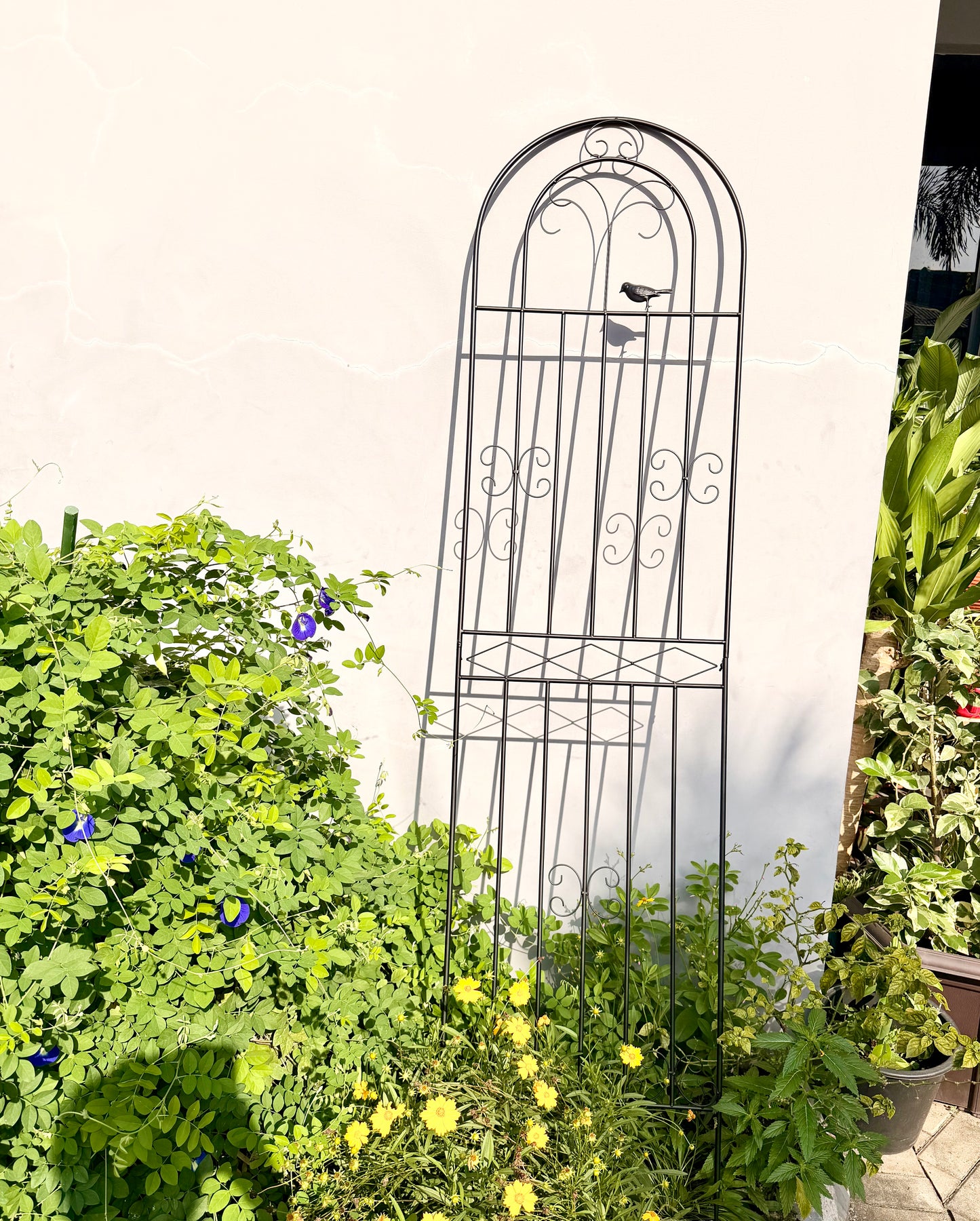 Wrought Iron Trellis