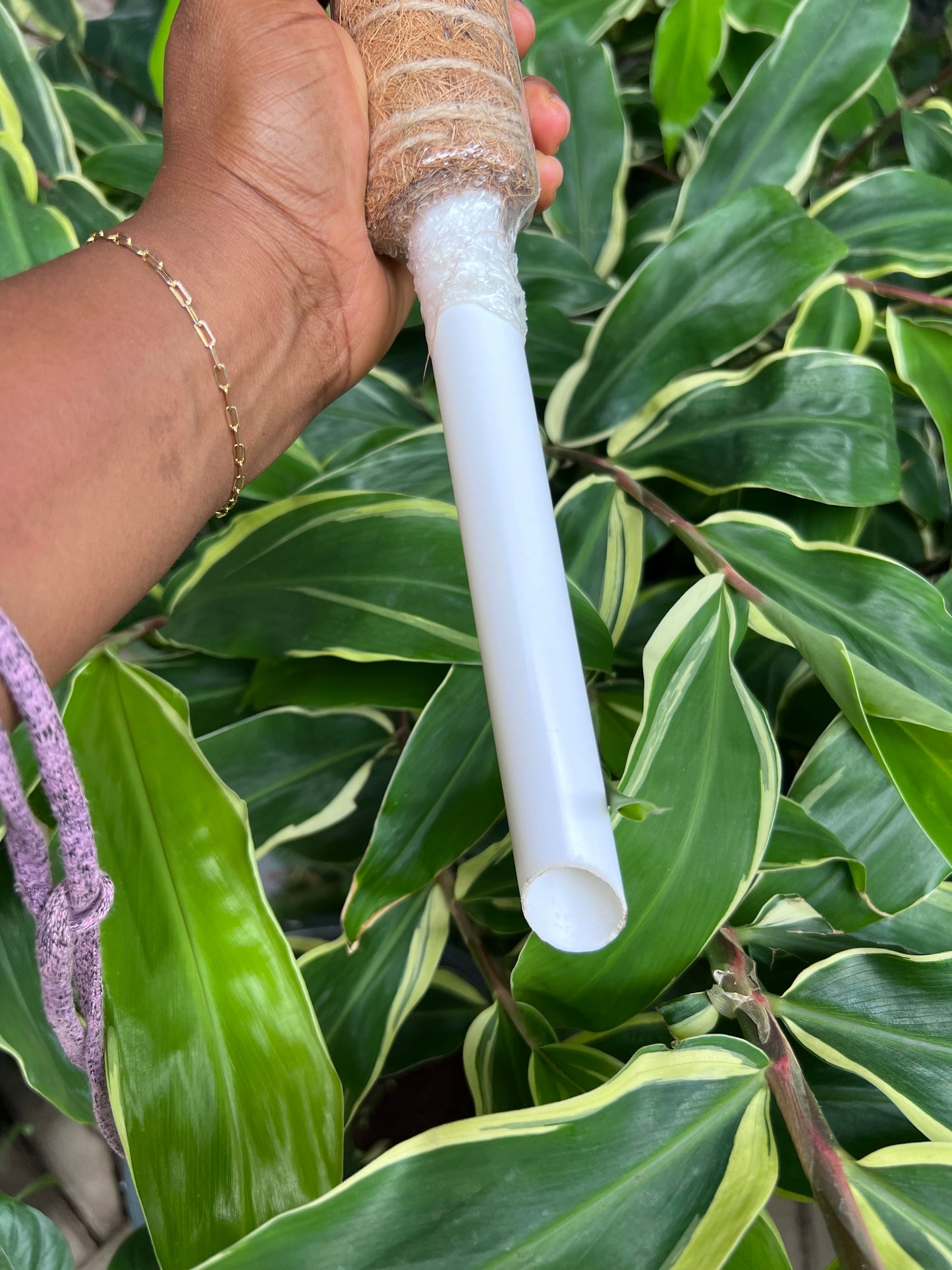 Coco Coir Climbing Poles(1 pole)
