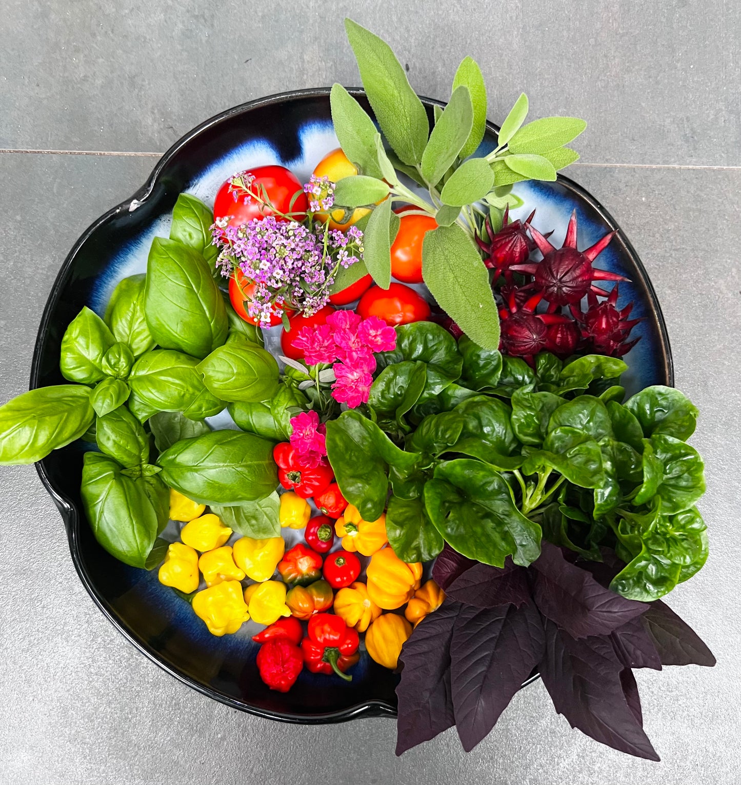 Weekly Garden Maintenance