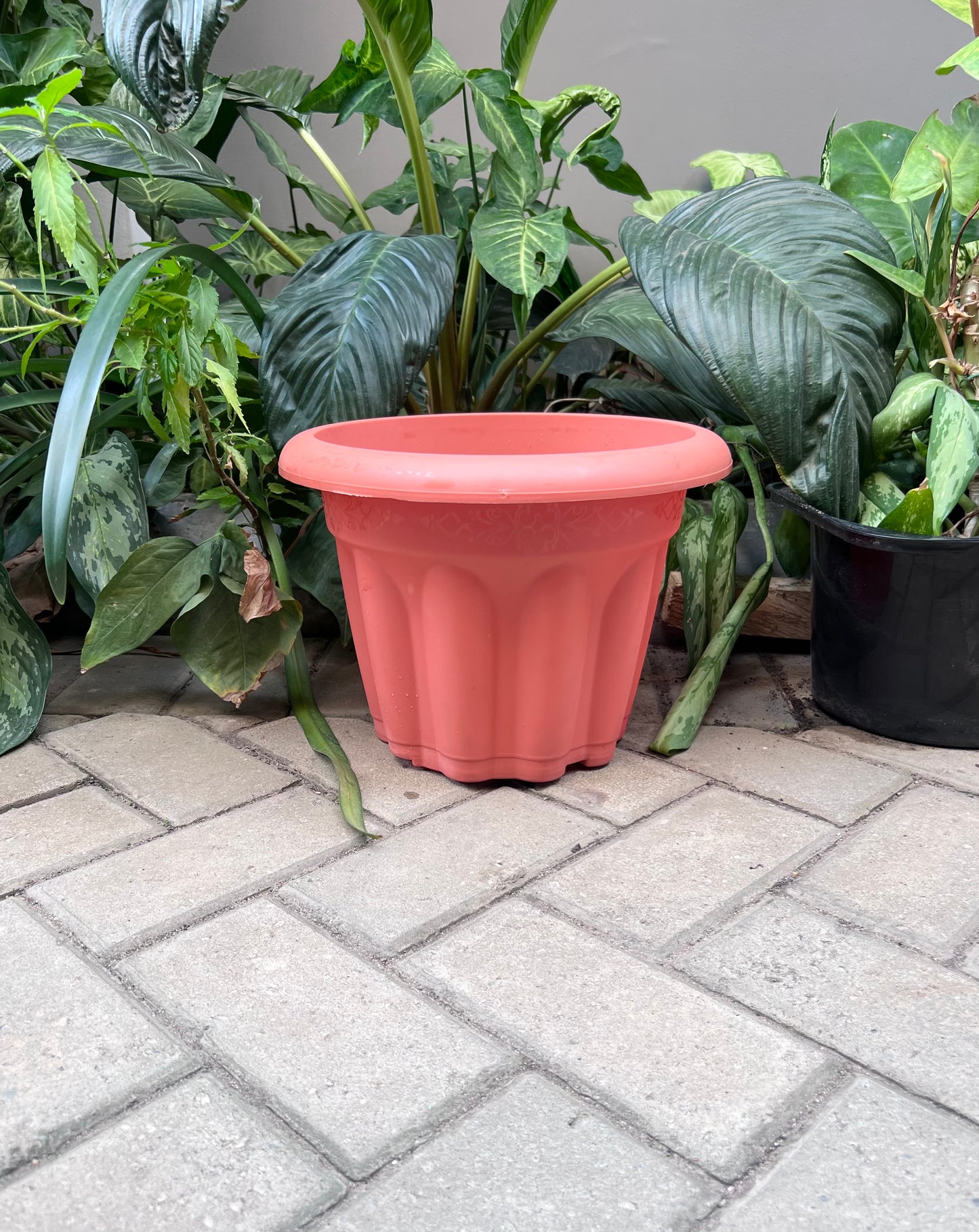 Flora Flower pot - planter