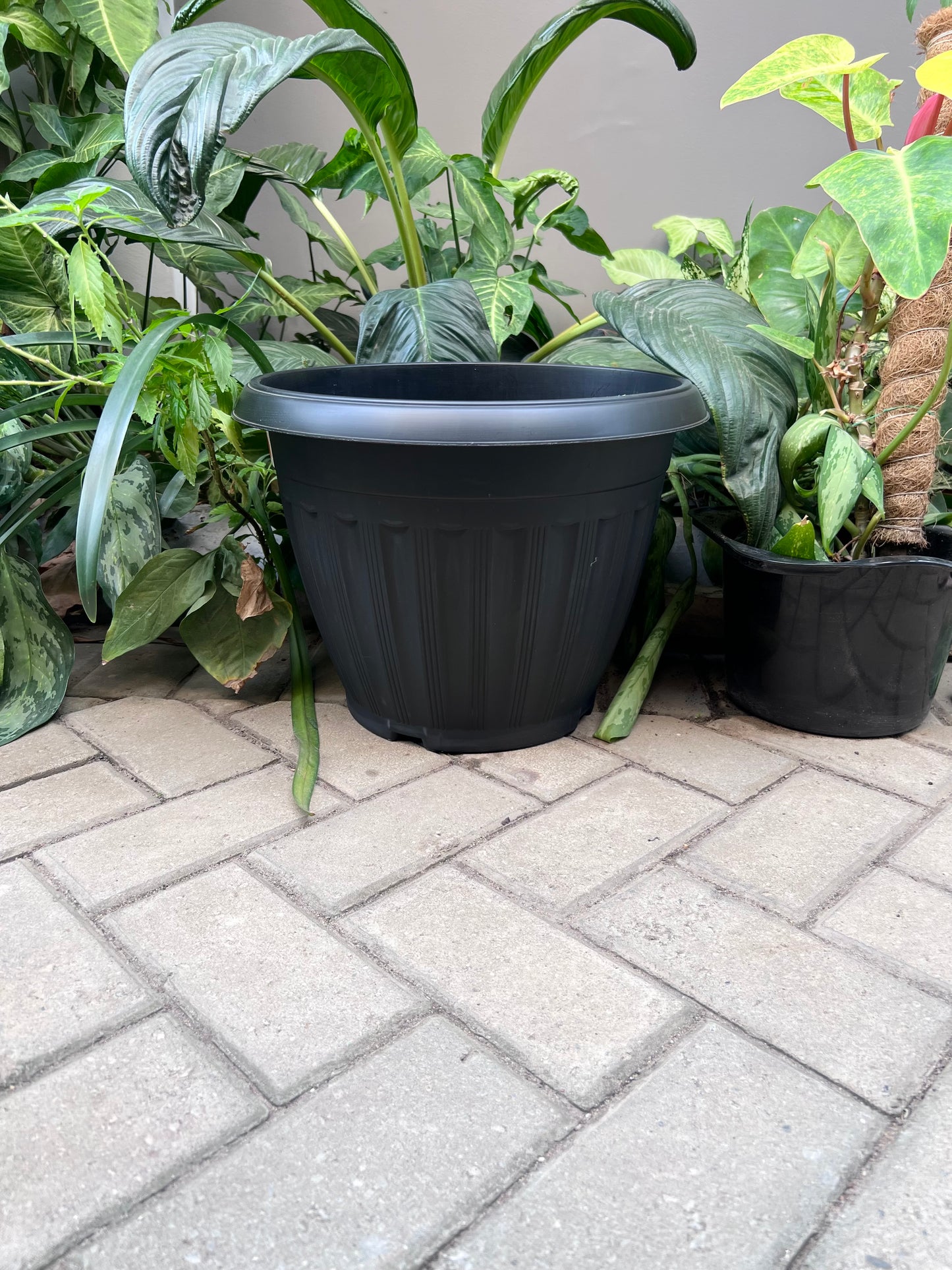 Zara Flower Pot - Planter