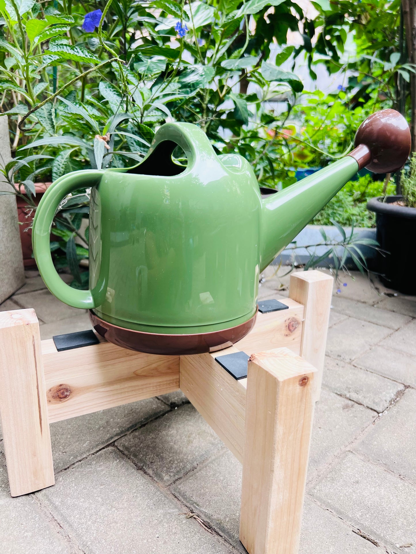 Watering Can with stainless steel shower sprayer