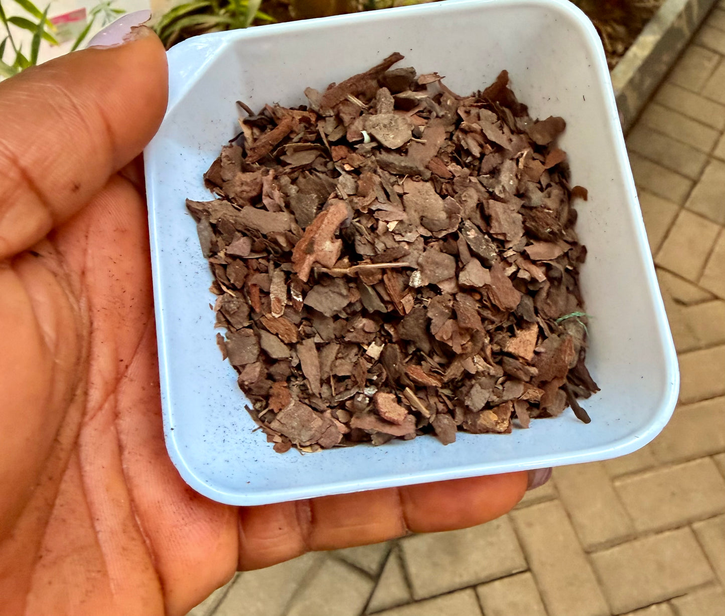 Orchid Bark
