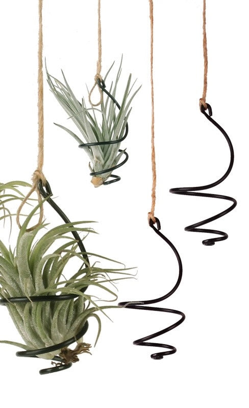 Air Plants Hangers