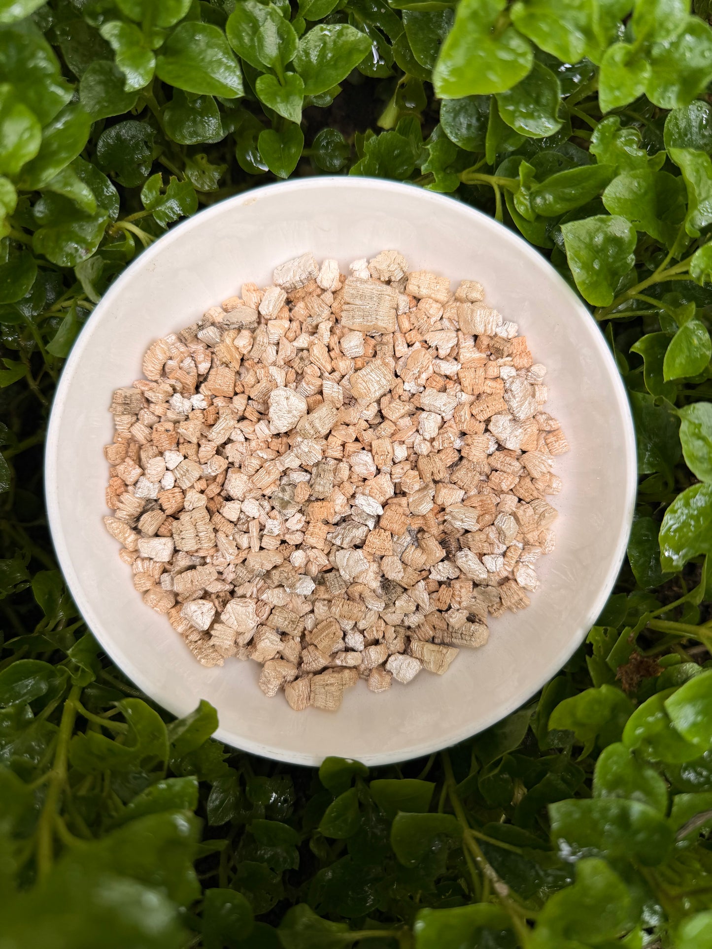 Vermiculite