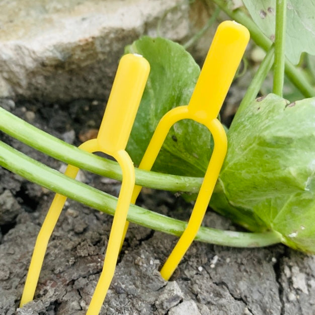 Garden pegs/fork