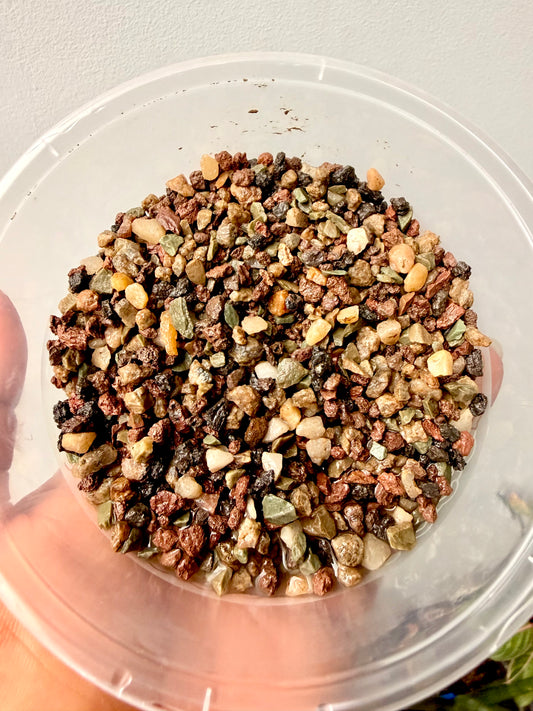 Cacti grit