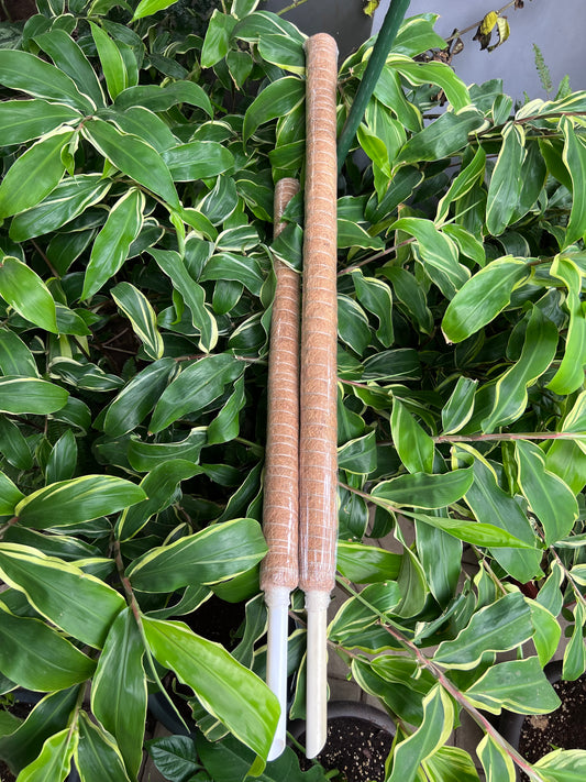 Coco Coir Climbing Poles(1 pole)