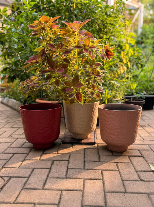 Planter/Pot with tray