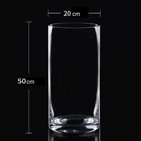 Tall Glassware for growing plants