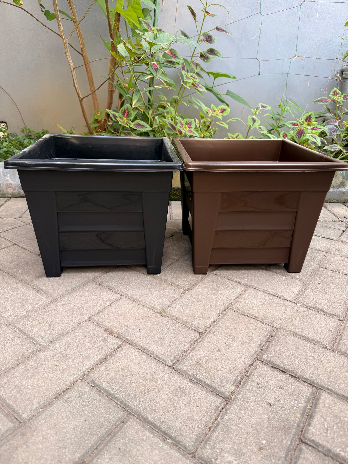 Evergreen flower pot