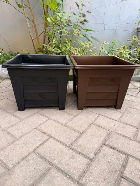 Evergreen flower pot