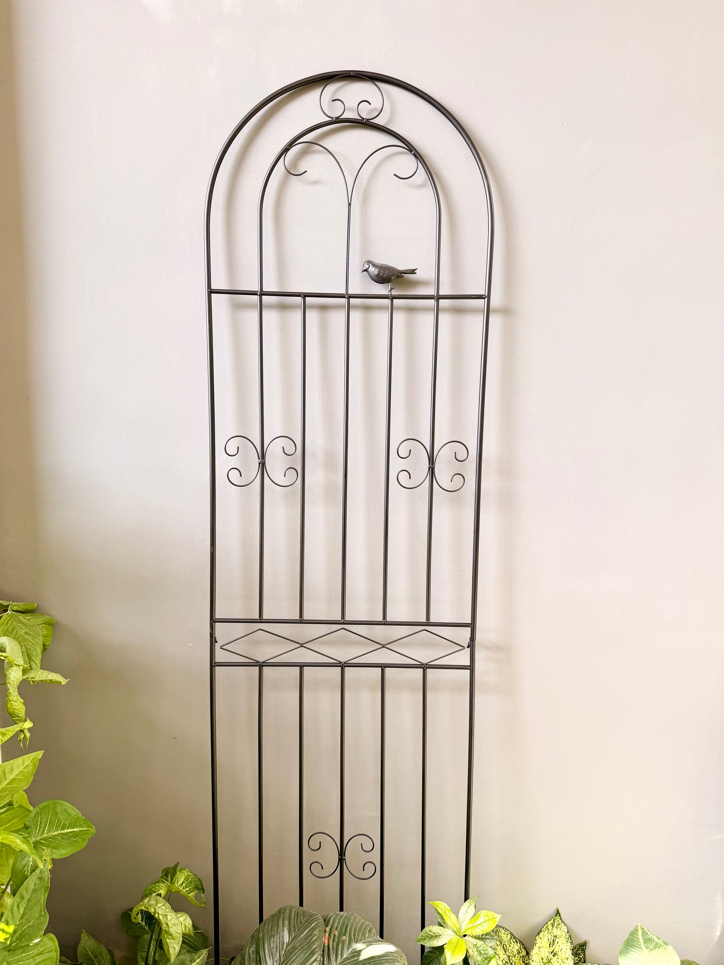 Wrought Iron Trellis