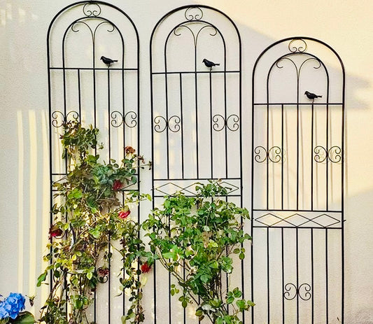 Wrought Iron Trellis