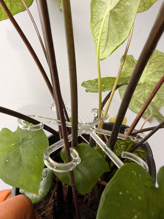 Stem support Clip