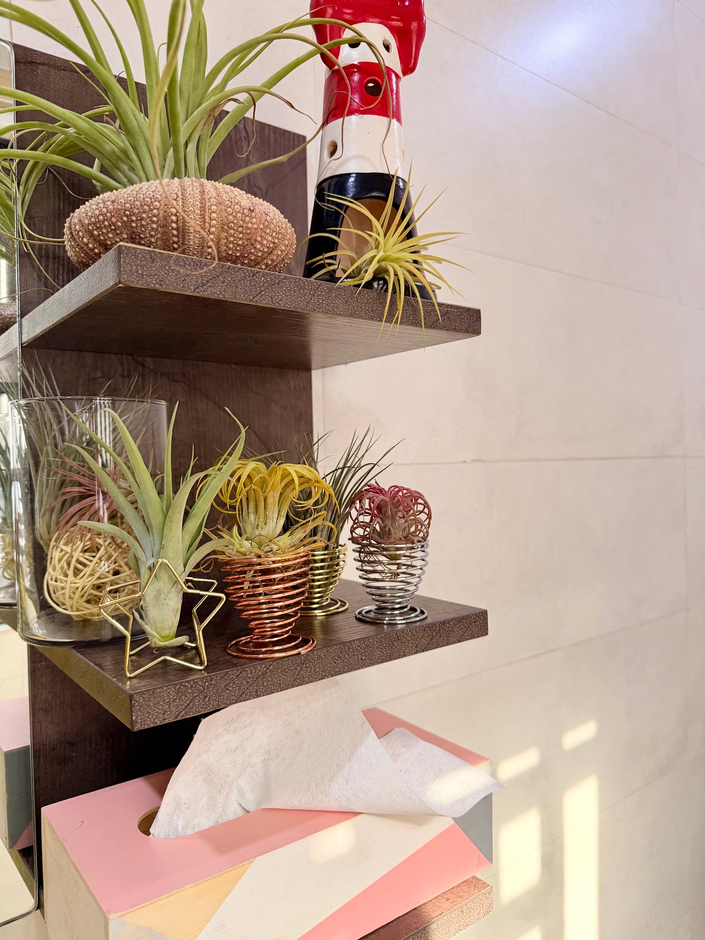Metal display stand for airplants