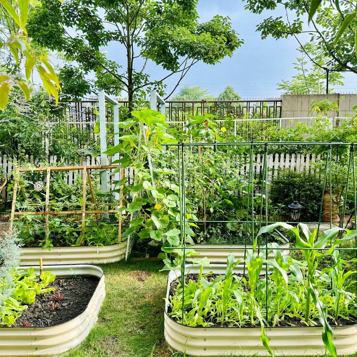 Metal Raised Garden bed