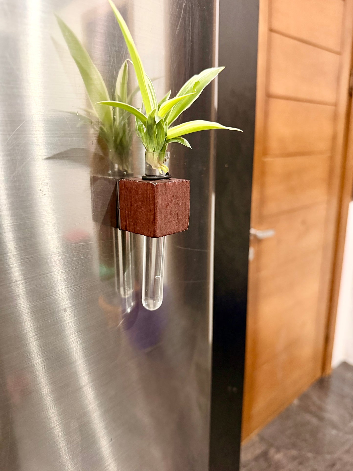 Mini test tube planter