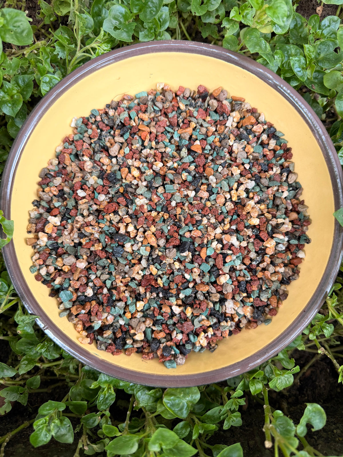 Rainbow Gritty Cacti mix(3-6mm)