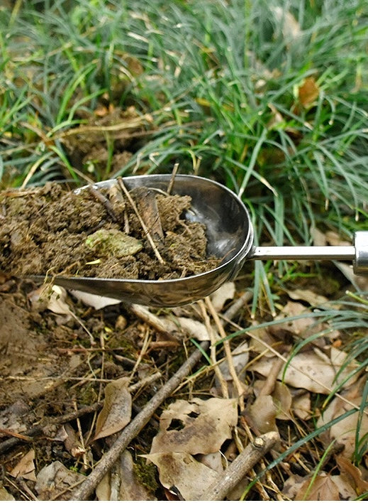 Stainless steel Garden tools