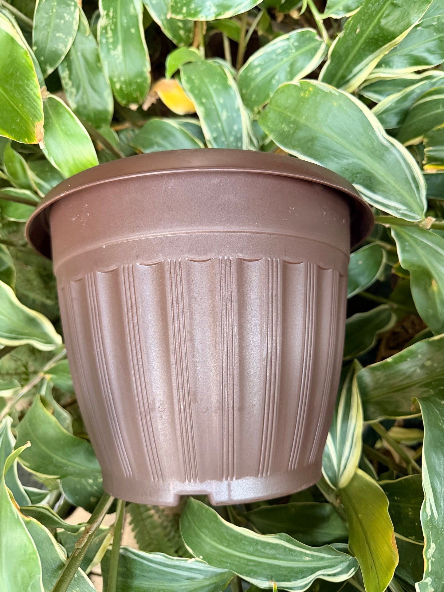 Zara Flower Pot - Planter
