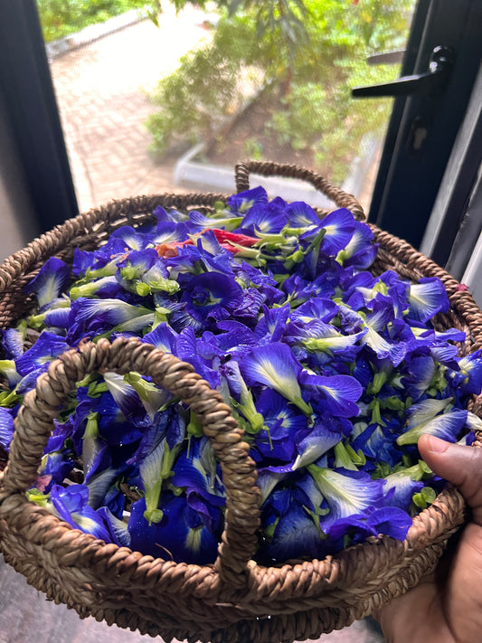 Blue butterfly pea flowers
