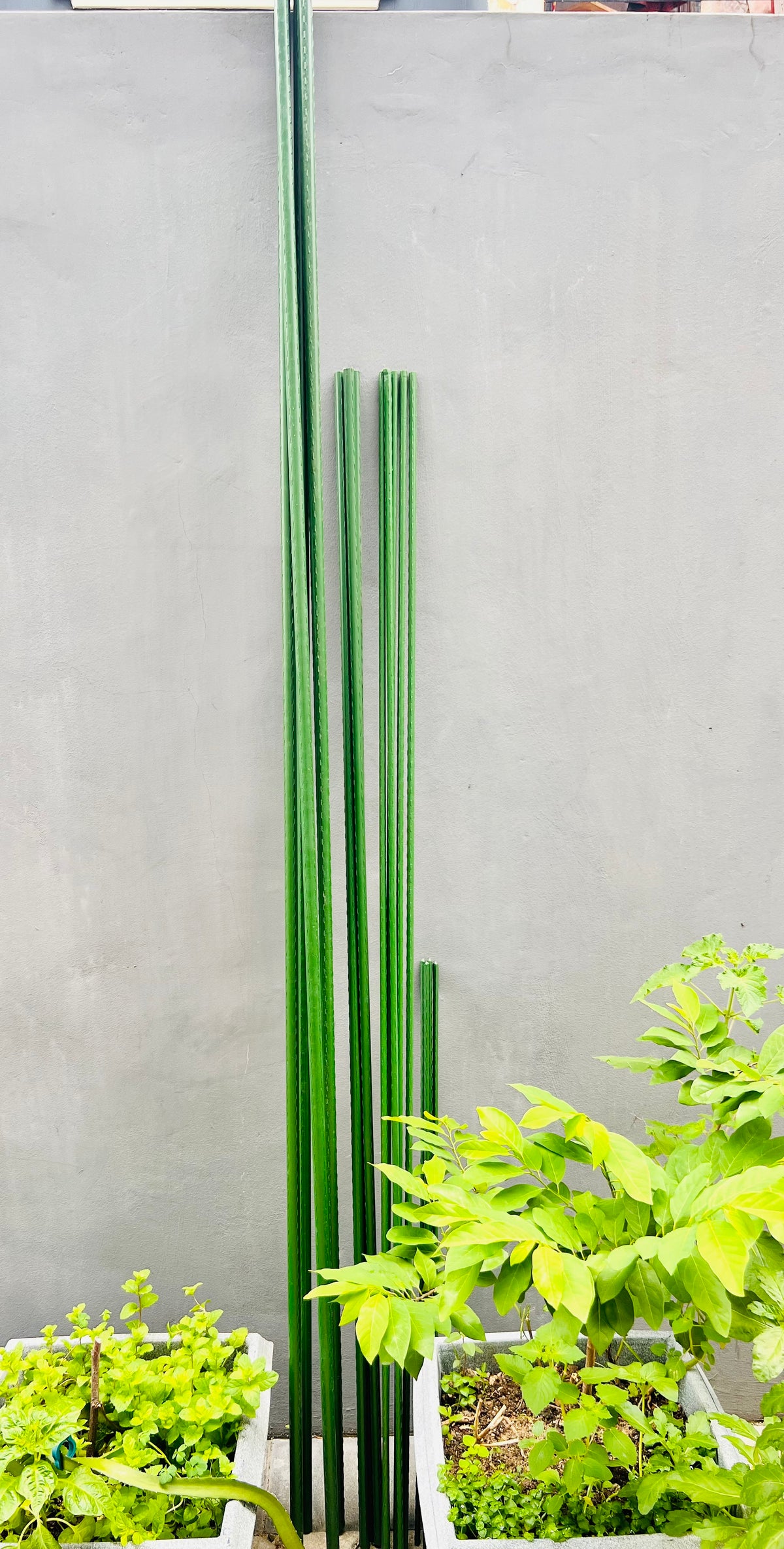 Stake Rod Garden Rod/Stake/Pole – Eudana Farms