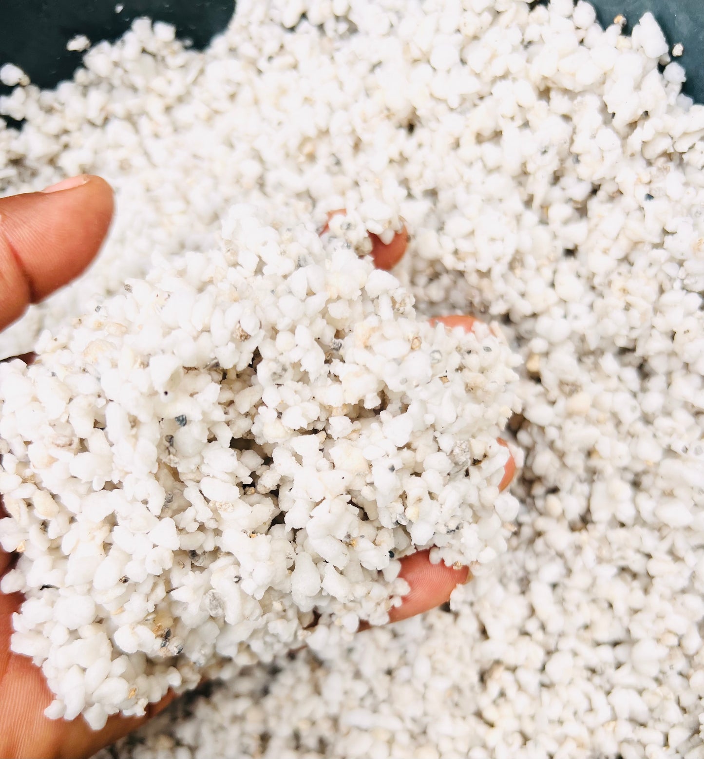 Perlite(Particle size specification 3-6mm)-250g