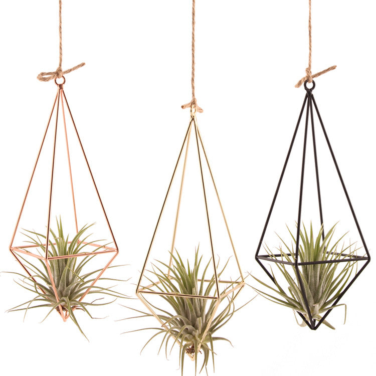 Air Plants Hangers